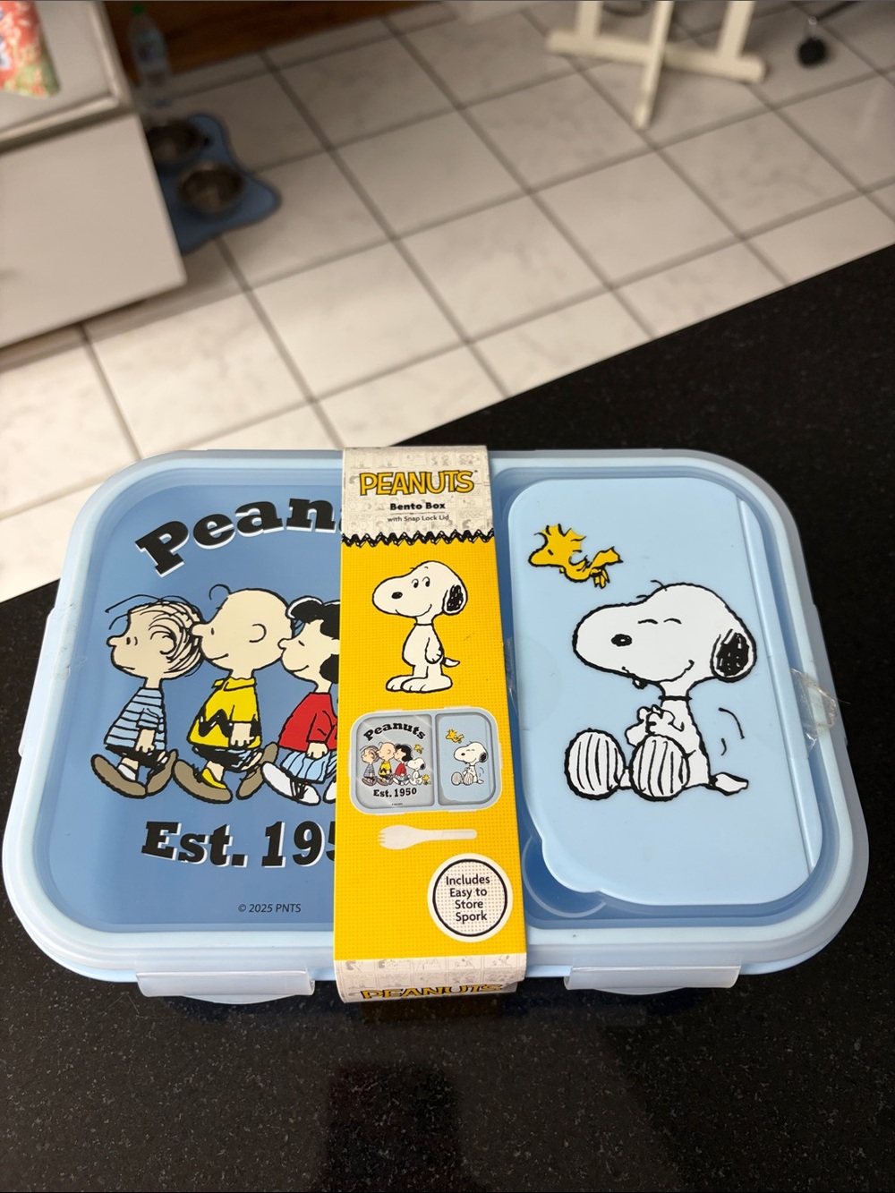 Peanuts Light Blue Snoopy & Friends Bento Box